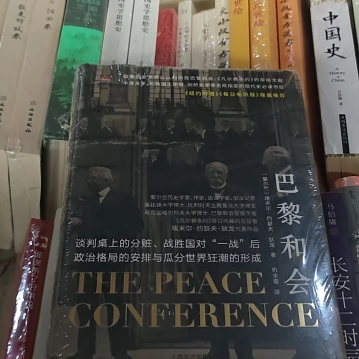 巴黎和会精装品相不错啊。