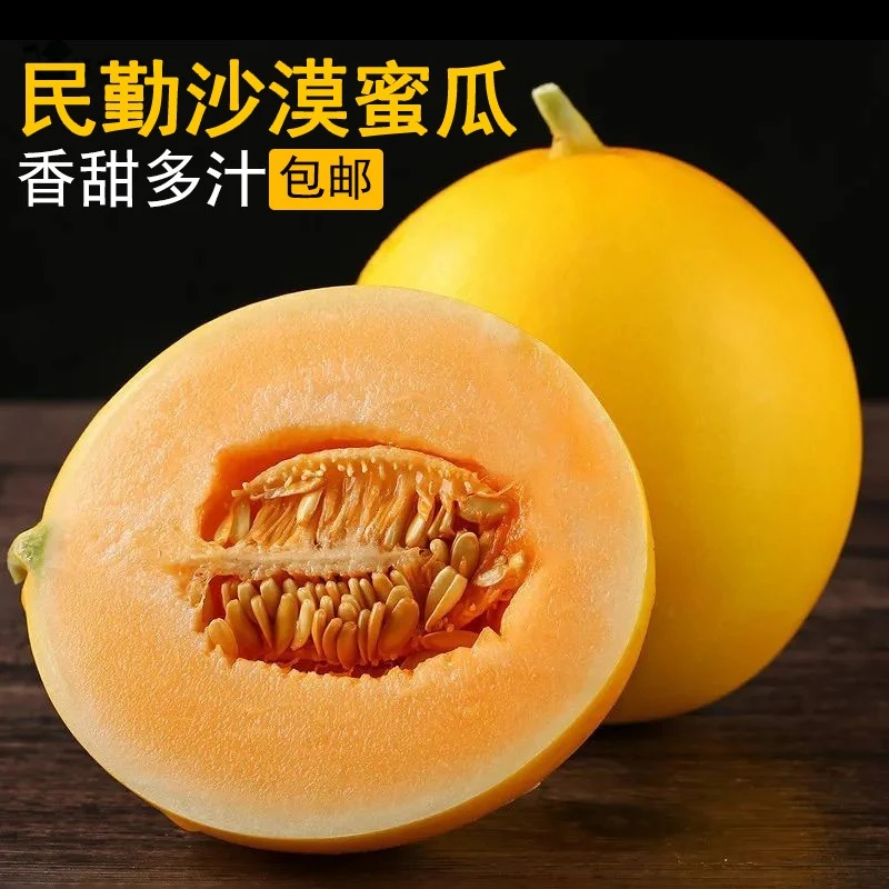 甘肃民勤蜜瓜沙漠蜜瓜7-9斤装金红宝甜瓜新鲜水果