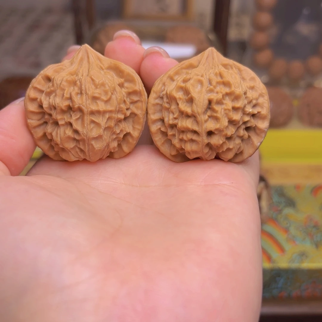 野生三棱四十尺的