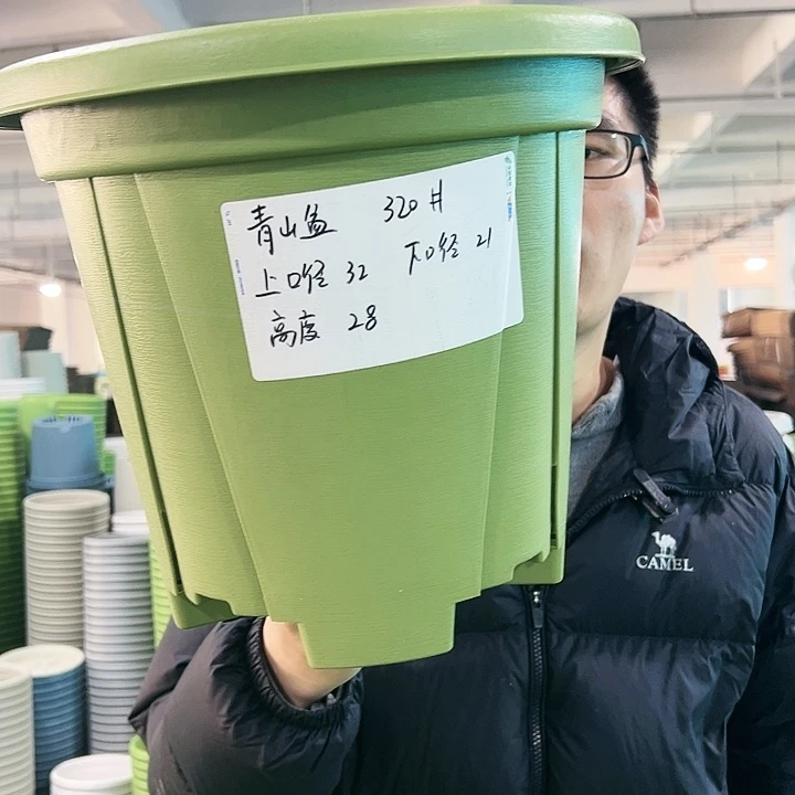 正品青山口32高28果绿无托5只