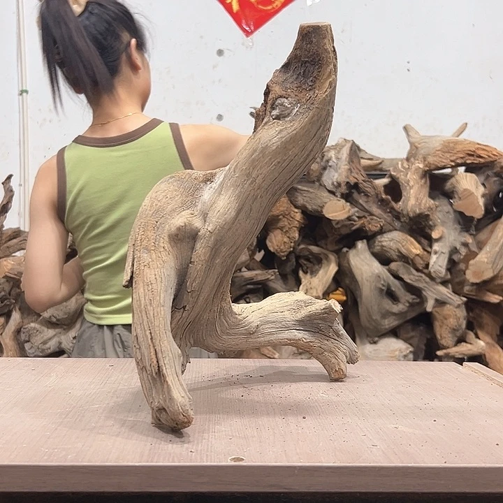 柏木百*我们都是好孩子啊