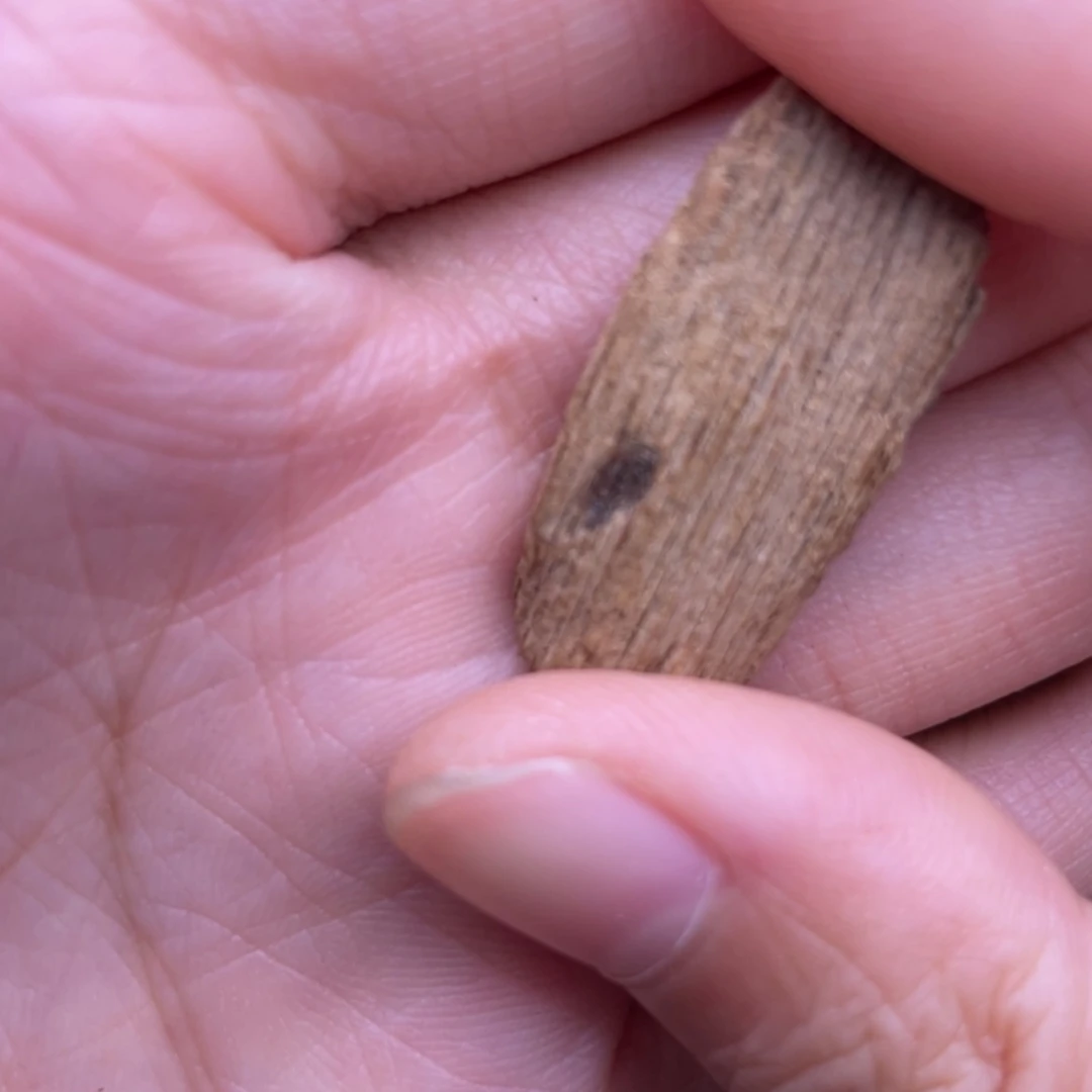 【闪购商品】香榧木海南大山土沉黄棋楠1.7克