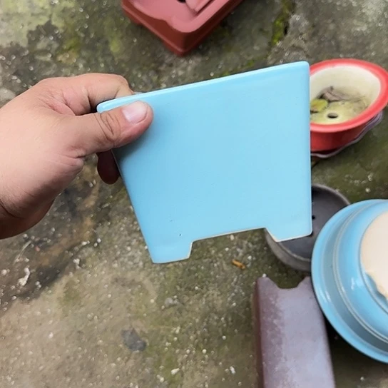 我想说我们也没见他说他有男朋友吗他真的