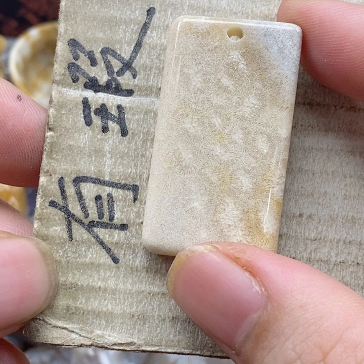 颈饰未镶嵌硅化珊瑚（珊瑚玉）乁****ㄏ小
