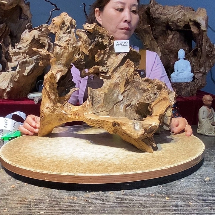 A*422株木随行的小根艺