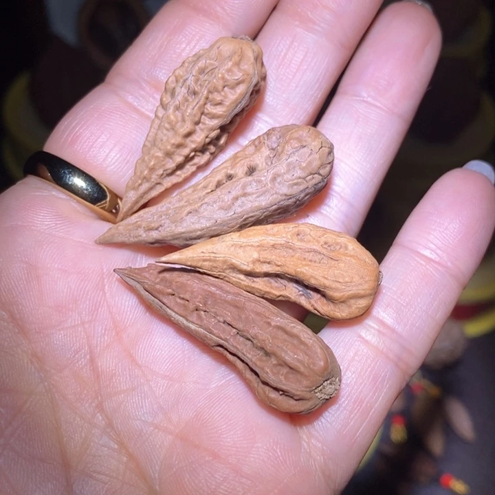 文玩核桃把件噼**啦东北野生楸子小美4 6