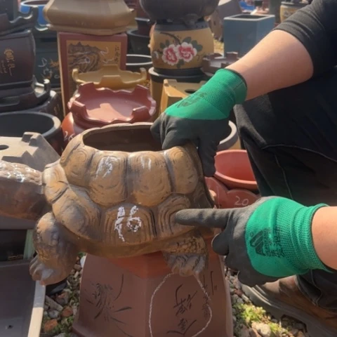 紫砂花盆紫砂花盆盆景盆栽