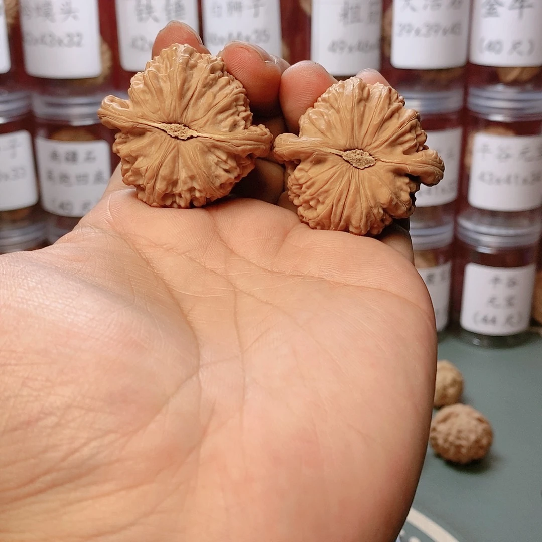 王43全品白狮子文玩核桃