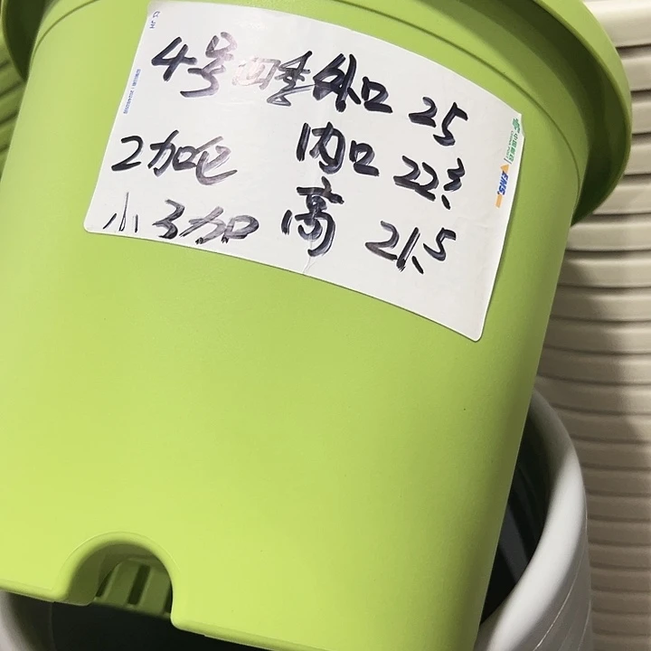四季4号特价米色8个无托