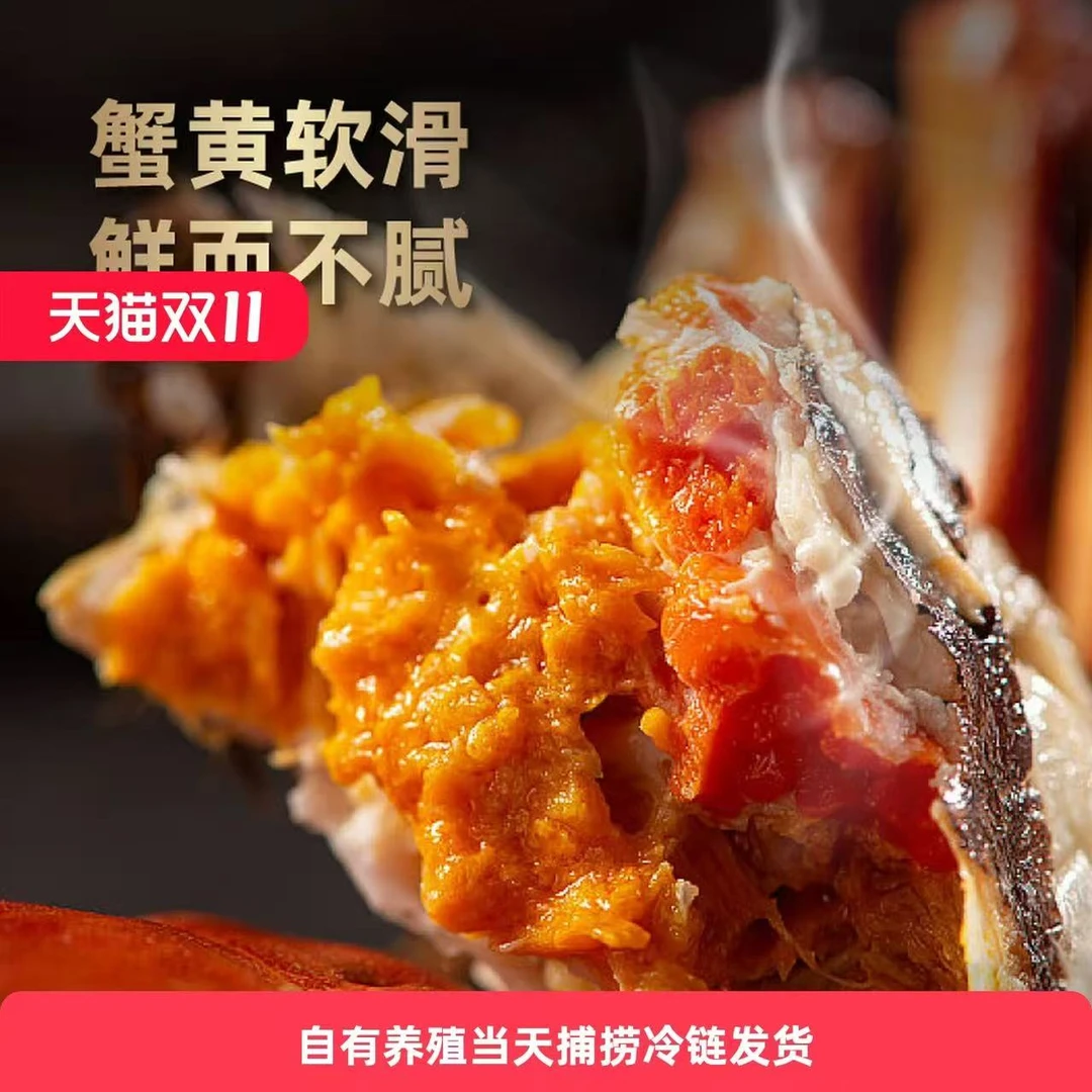 【活蟹尝鲜】江苏螃蟹 全母蟹（1.4-1.7两）买8送2 到手10只 顺丰空运包邮送货上门