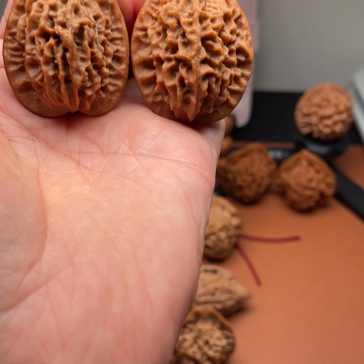 鹿***.香榧木秦核等人在此处进行过多次的