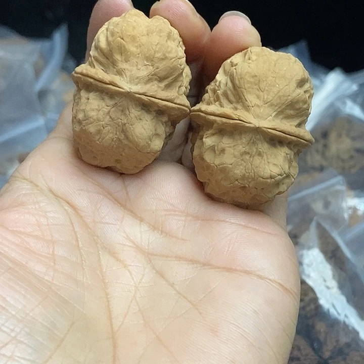 木质类云南铁核桃+31