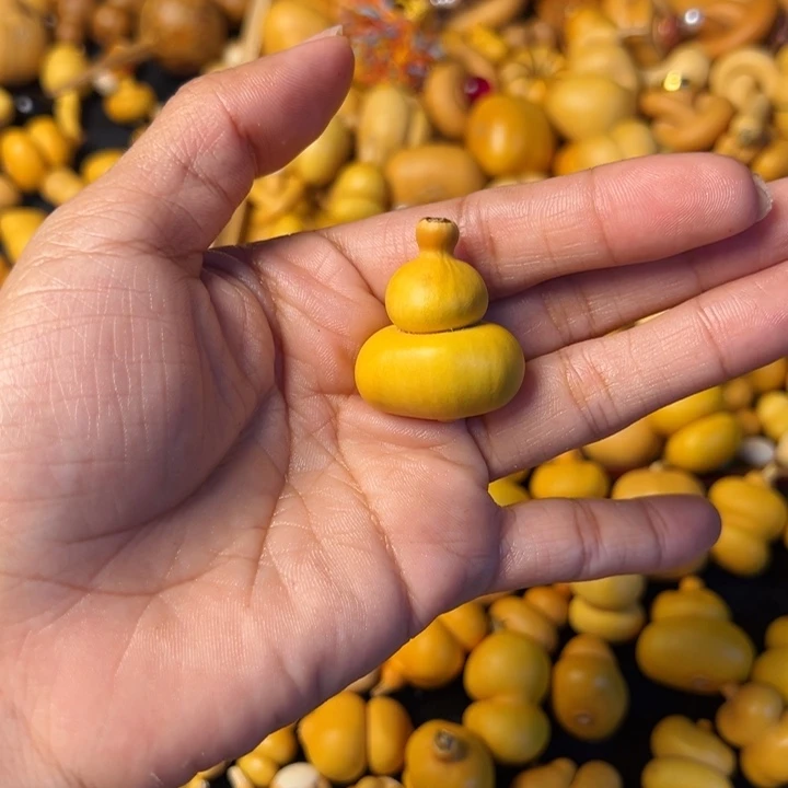 W***a我在上课哦咯勒诶你