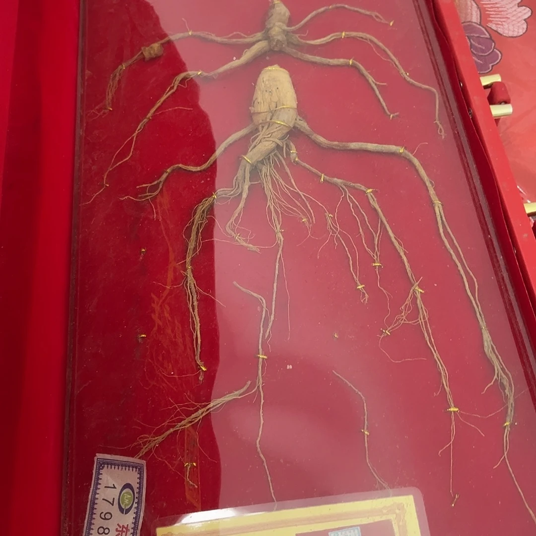 福***权文玩捡漏活动开始