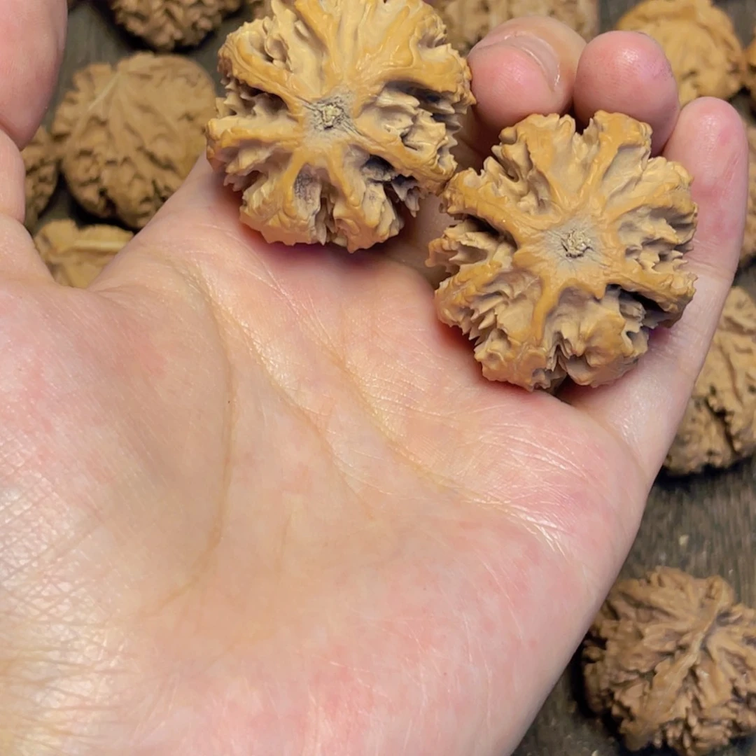 如***哥桃核把件30 秦岭灯笼野生小众