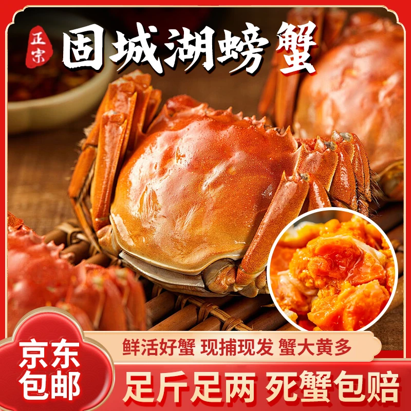 【活蟹】固城湖 母蟹 1.4-1.7两 12只螃蟹