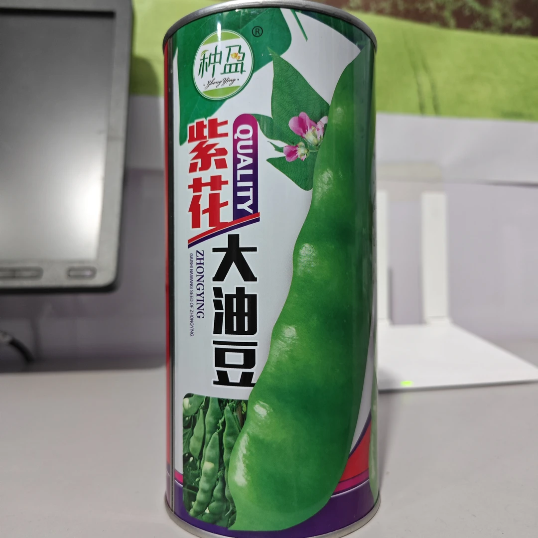 种盈晚熟紫花大油豆铁盒装