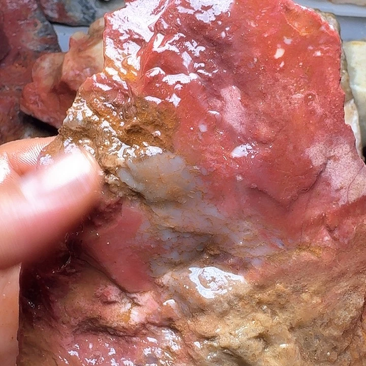 煜***哥寿山石寿山石的种类