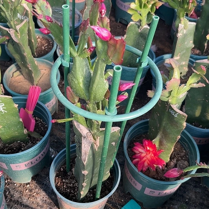 阿***生54号083，111111111