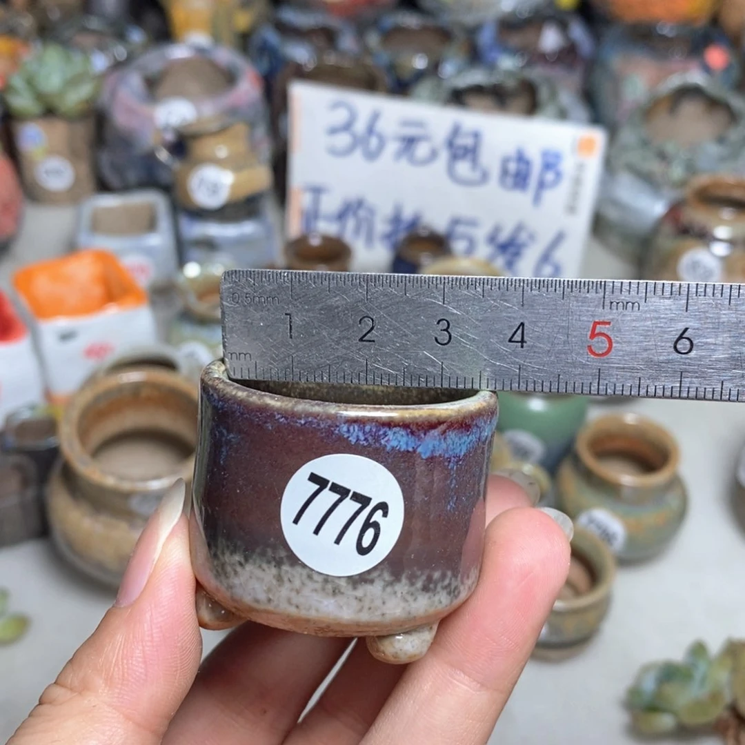 拍5送一个小礼物