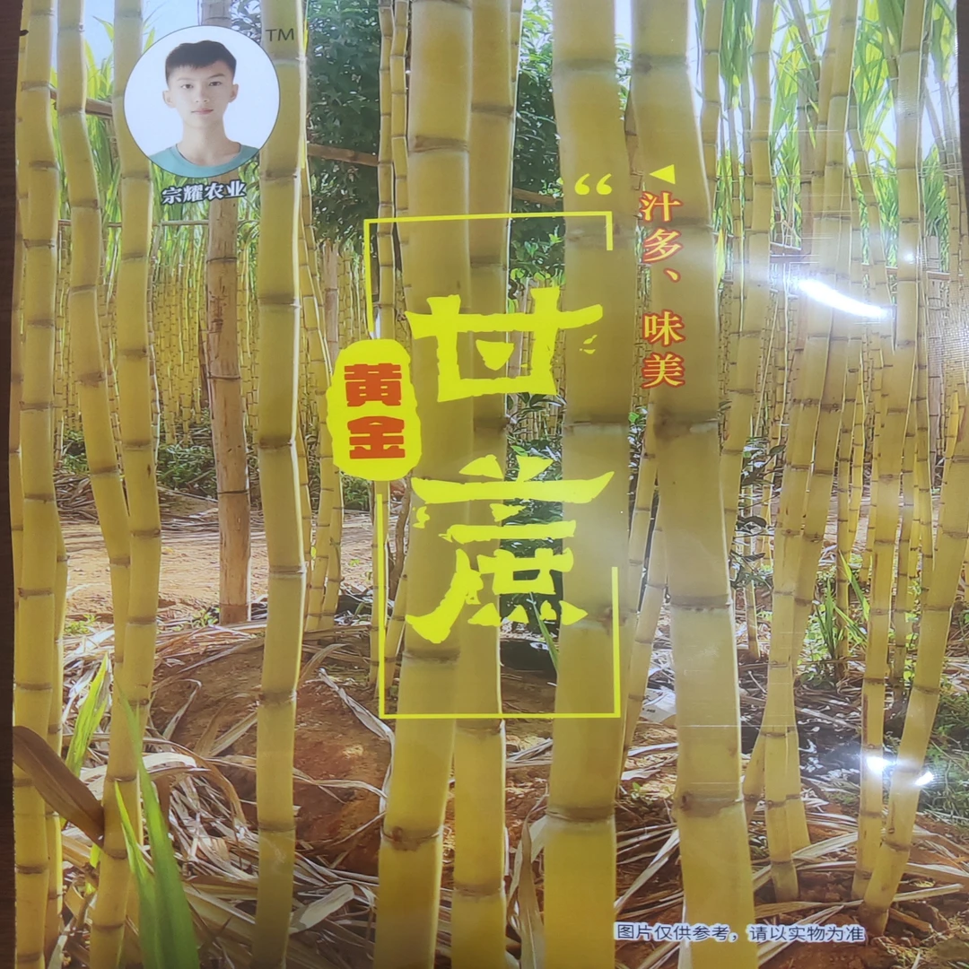 云南黄金甘蔗新鲜开袋即食美味零食产地直发批发划算甘蔗软罐头