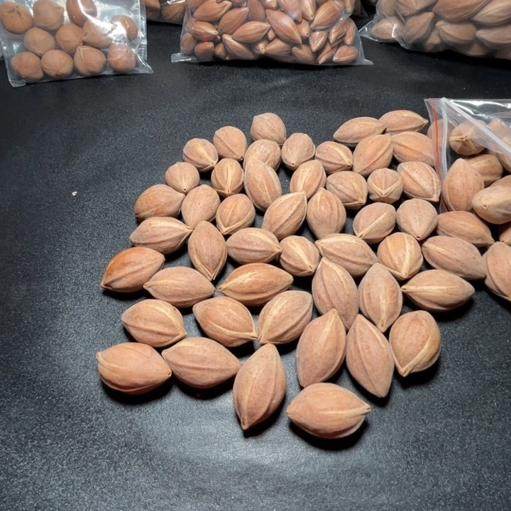 俊***哥手串/手链猪牙我是