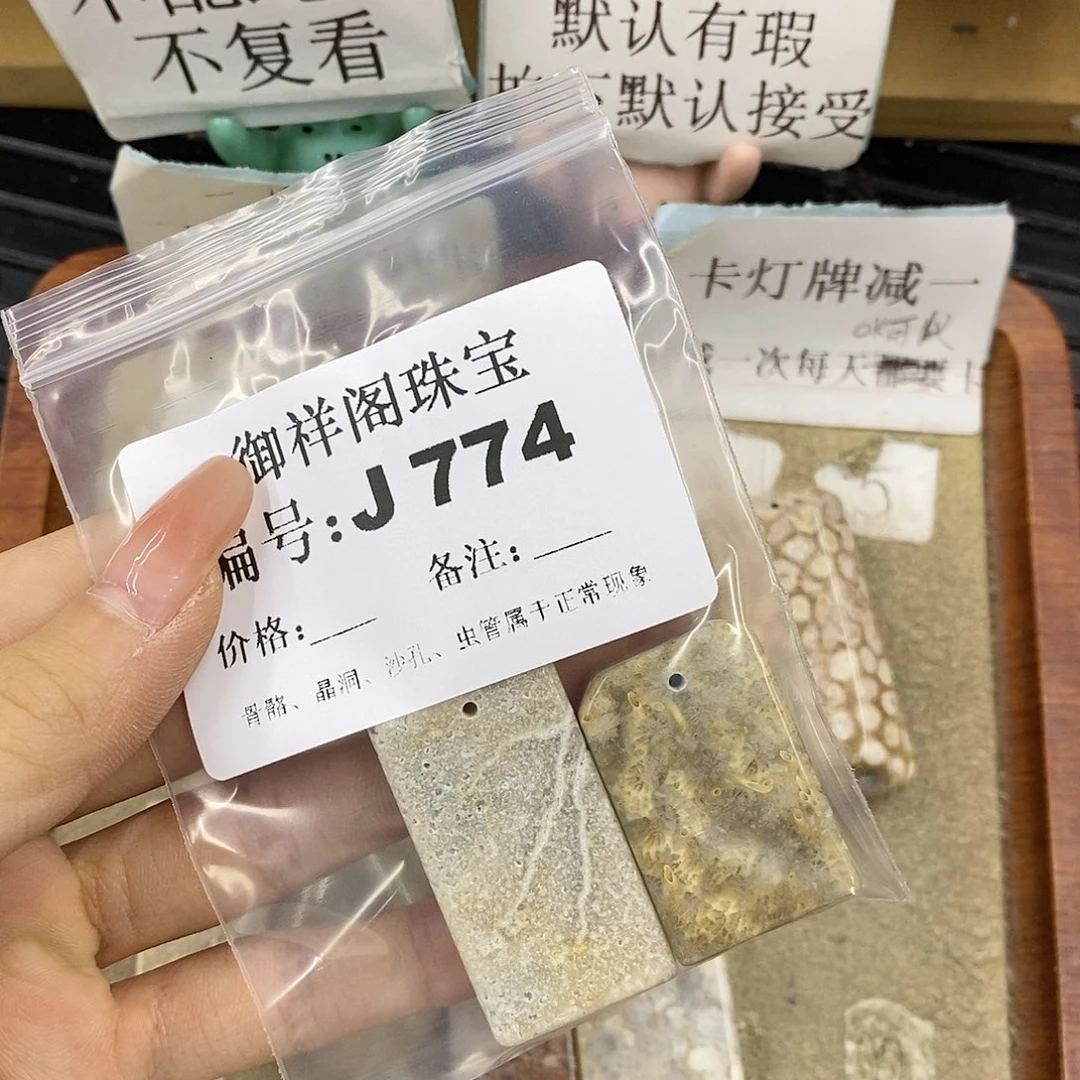 硅化珊瑚（珊瑚玉）未镶嵌颈饰一****儿