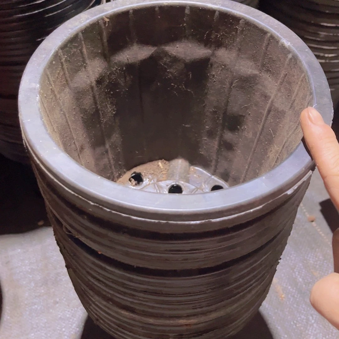 塑料旧20公分黑砖盆 13个