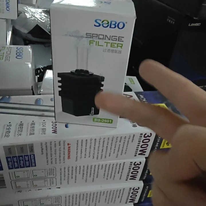 海星水妖精sb2601