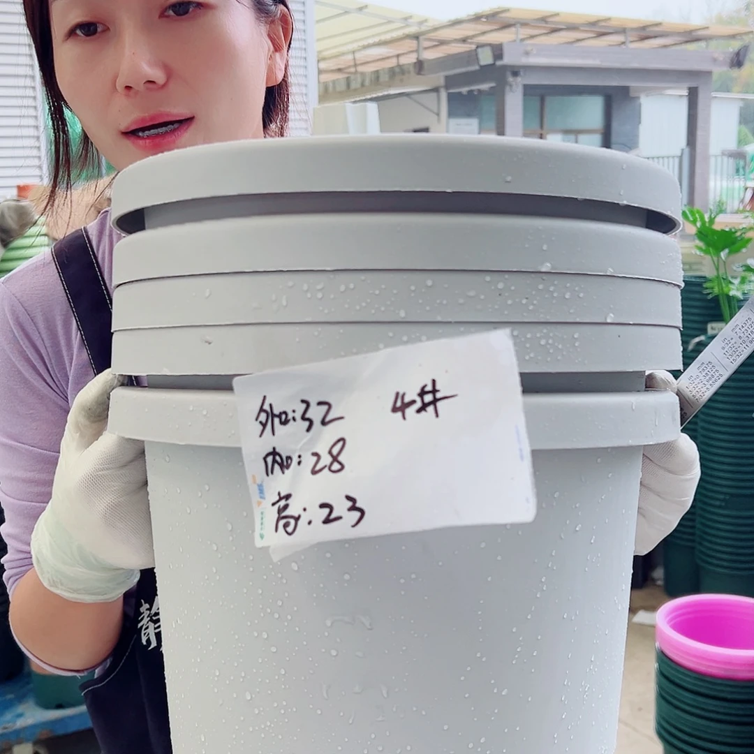 球根盆4#灰白5个无托