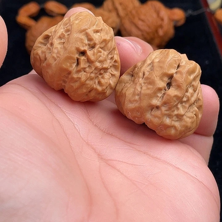 35三角箭毒蛙福利核桃
