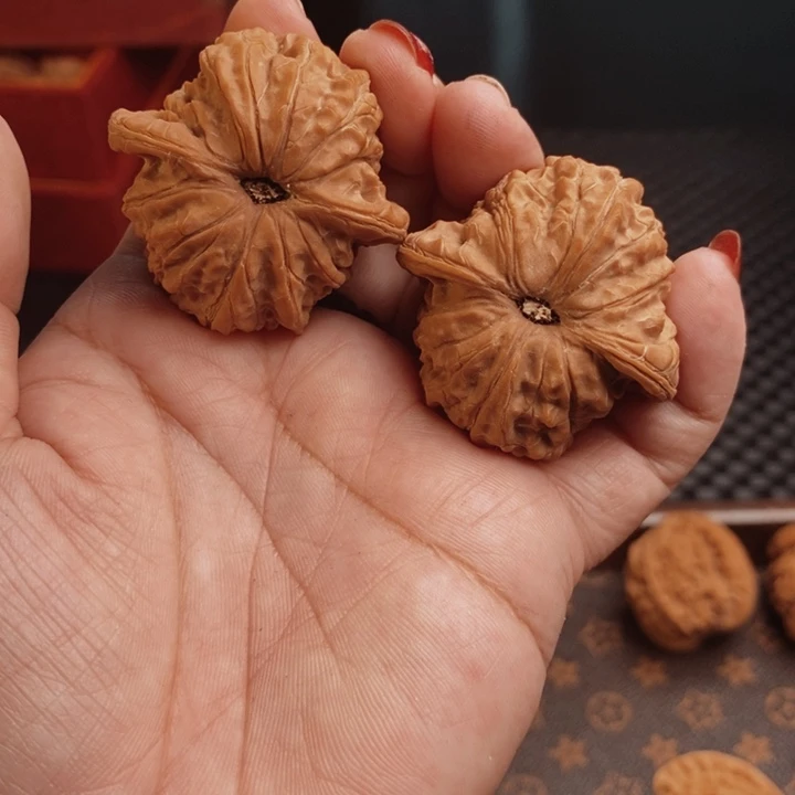 核桃血麒麟42尺核桃