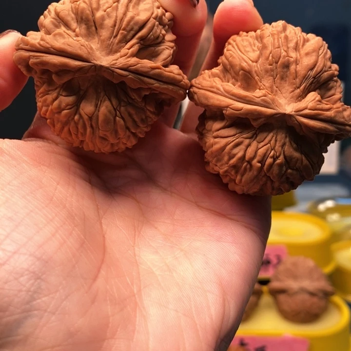 奋***上手串/手链核桃白狮子