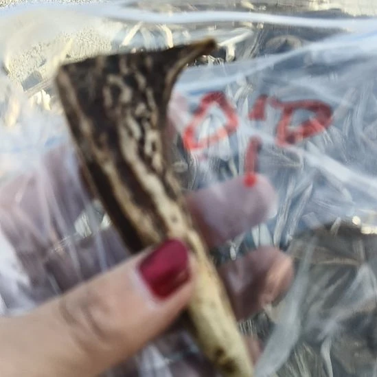 朔***扬鹿角鹿角鹿角鹿角鹿角鹿角