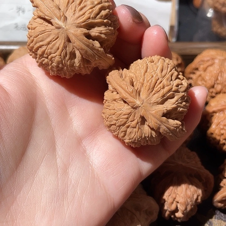 大叶紫檀（黑酸枝木类）白狮子