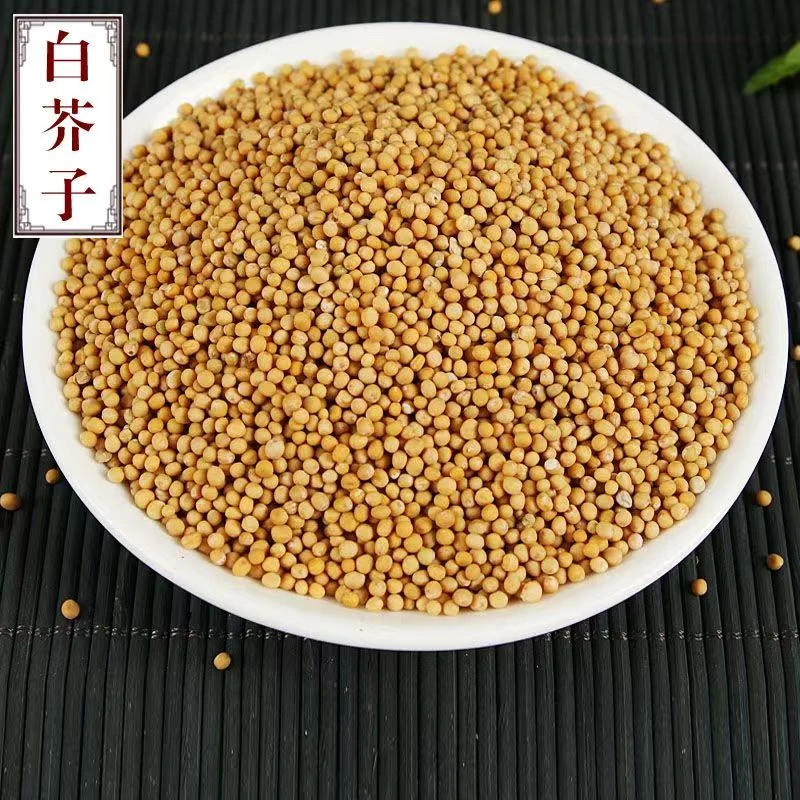介子中药材 白芥子新货 颗粒饱满干净无杂精选白芥子