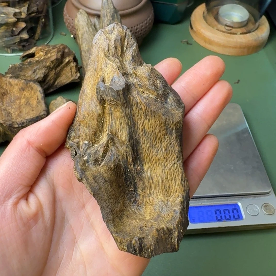 沉香手把件海南天然莺歌绿棋楠包壳块料19.8克