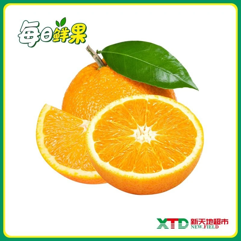 【时令水果】果肉饱满橙子2.8-3斤/袋