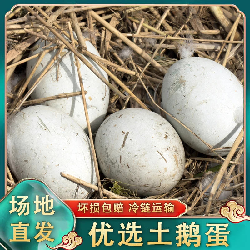 农家放养新鲜土鹅蛋  10枚  单枚净重120±50g