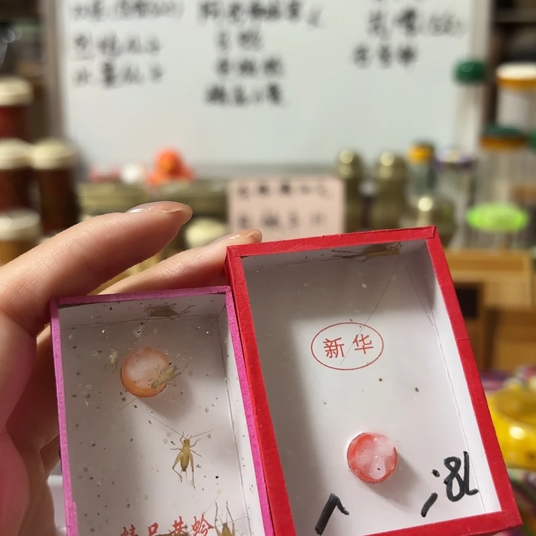 断须飞机大黄 一盒