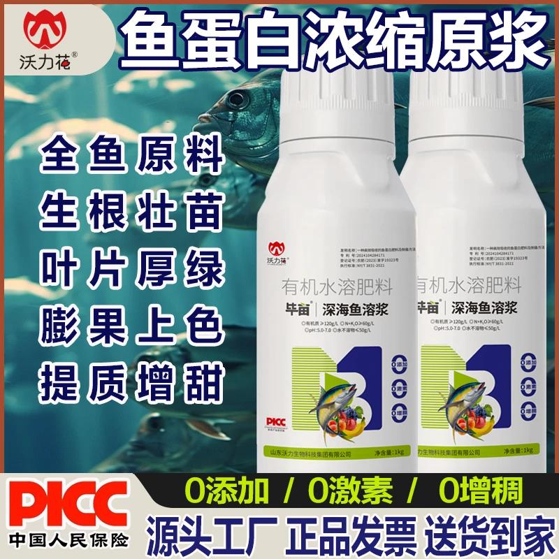 沃力花-毕亩深海鱼溶浆