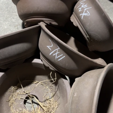 100-7。      微瑕27/11