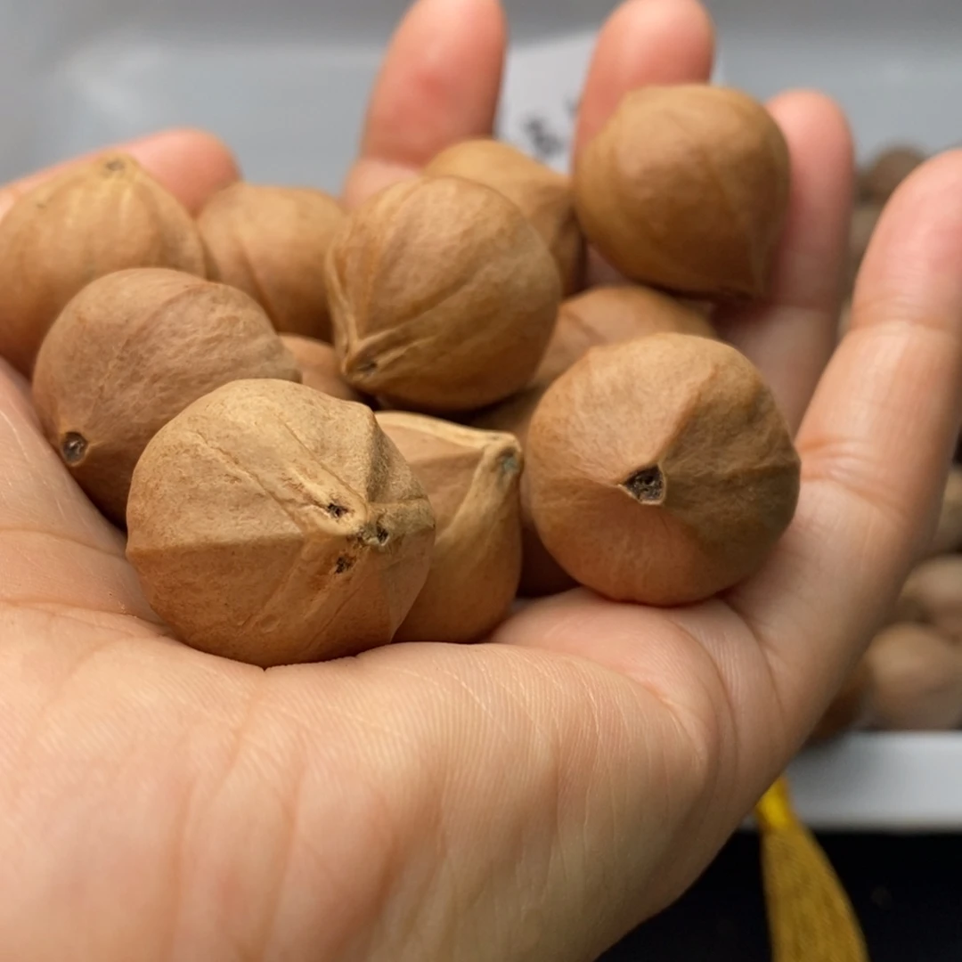 *****橄榄核手串/手链1