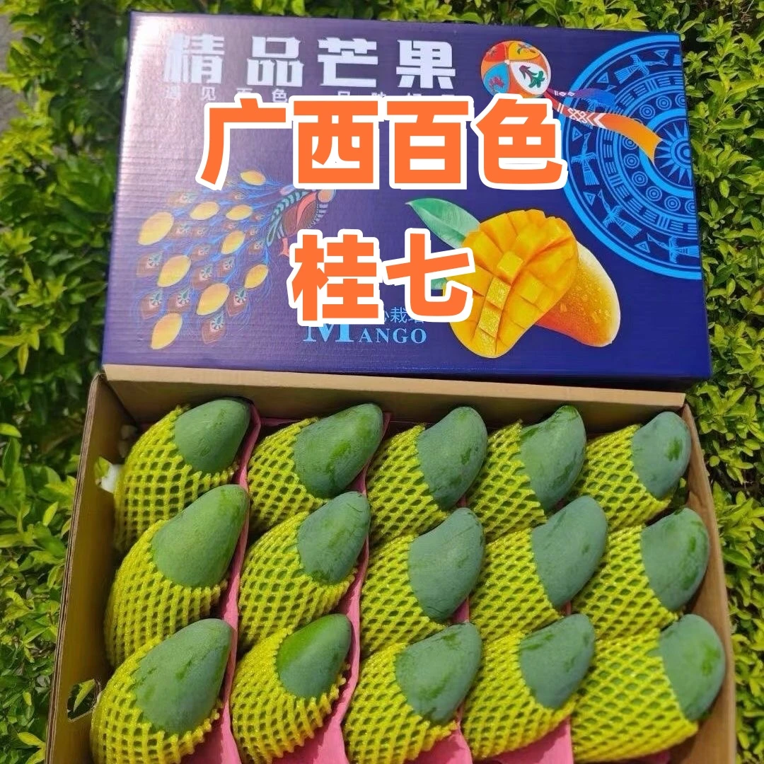 【精品礼盒】桂七芒果果园新鲜采摘汁多肉厚广西百色田东县产地直发