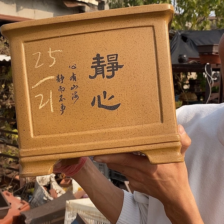 花盆紫砂紫砂艺术学院