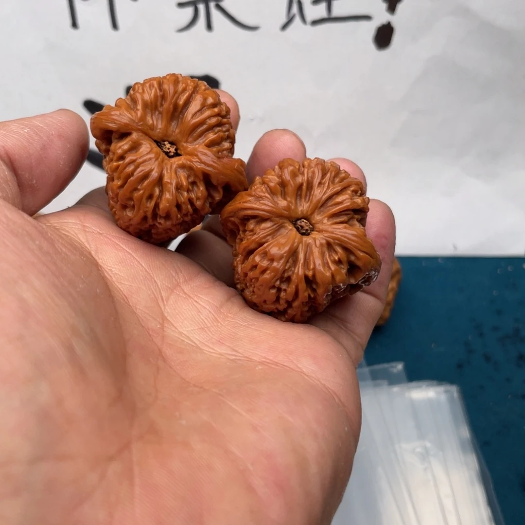 核桃手串/手链735753537735573753357