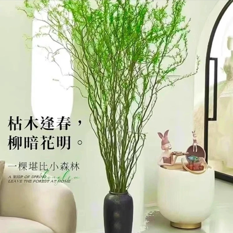 龙柳鲜枝水培植物1.5-1.6米室内水养绿植客厅四季好养到手10枝包