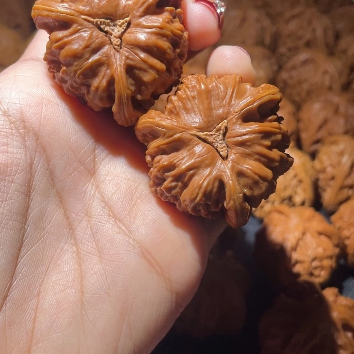 七***安文玩核桃吊坠白狮子