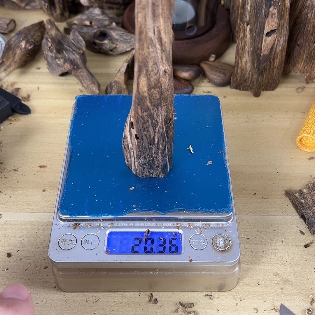 香料绿棋楠虫漏20克乌身