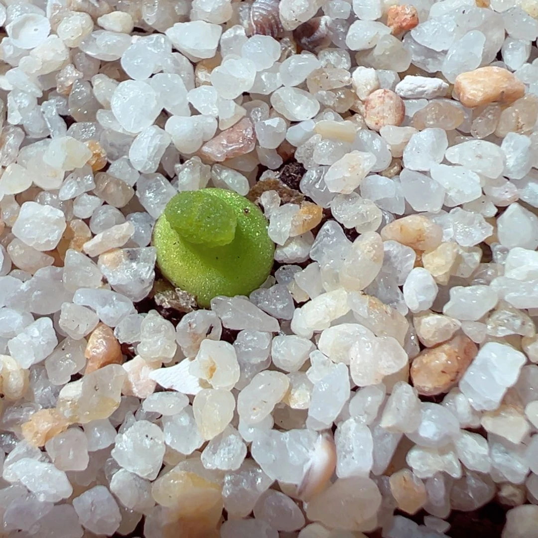 ?****?306-508.我是真的不